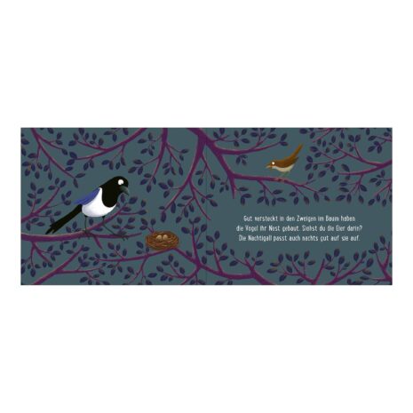 Arsedition Pappbilderbuch Gute Nacht im Wald