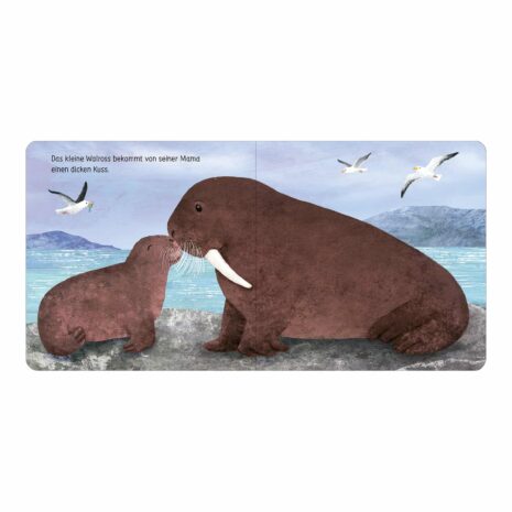 Arsedition Pappbilderbuch Komm kuscheln Arsedition Pappbilderbuch Komm kuscheln