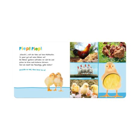 Arsedition Soundbilderbuch Hör mal rein wer kann das sein? - Bauernhoftiere