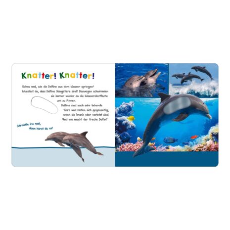 Arsedition Soundbilderbuch Hör mal rein