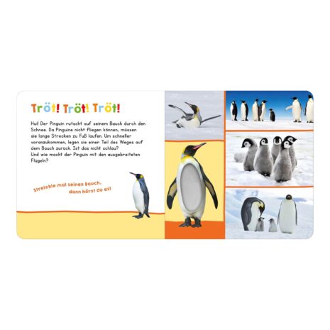 Arsedition Soundbilderbuch Hör mal rein