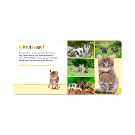 Arsedition Soundbilderbuch Hör mal rein wer kann das sein? - Lieblingstiere