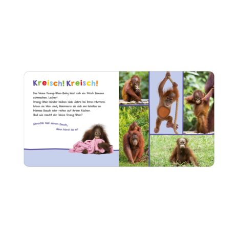 Arsedition Soundbilderbuch Hör mal rein