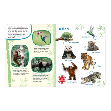 Arsedition Soundbilderbuch Tiere der Welt