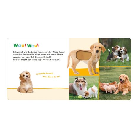 Arsedition Soundbuch Hör mal rein