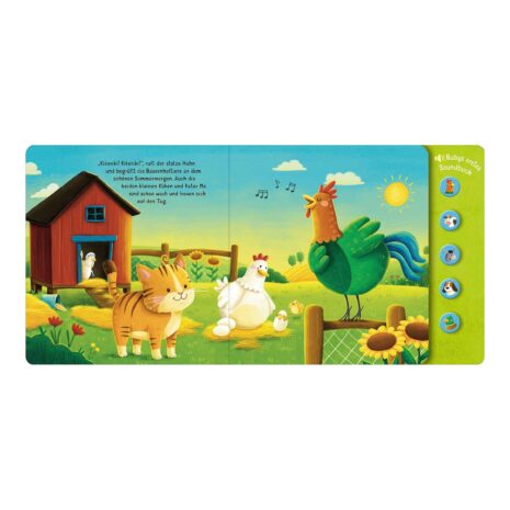 Arsedition Soundbuch Hör mal Arsedition Soundbuch Hör mal