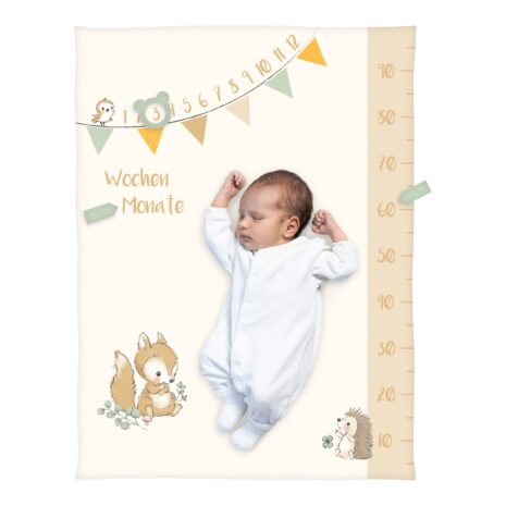 Baby Best Babydecke Microfaserflausch Meilenstein 75x100 cm Baby Best Babydecke Microfaserflausch Meilenstein 75x100 cm