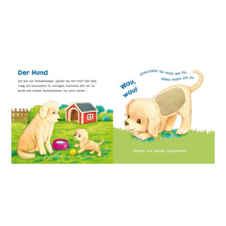 Carlsen Verlag Mein erstes Streichel-Soundbuch 2: Hör mal wie ich miauen kann Carlsen Verlag Mein erstes Streichel-Soundbuch 2: Hör mal wie ich miauen kann