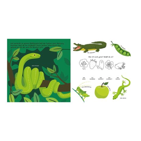 Carlsen Verlag Pappbilderbuch Kennst du die Farben? Carlsen Verlag Pappbilderbuch Kennst du die Farben?