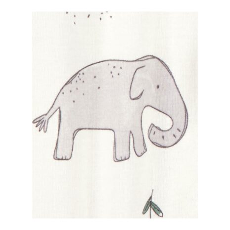 Carter's 2er-Pack Schlafoverall mit Fuß Ringel Elefanten