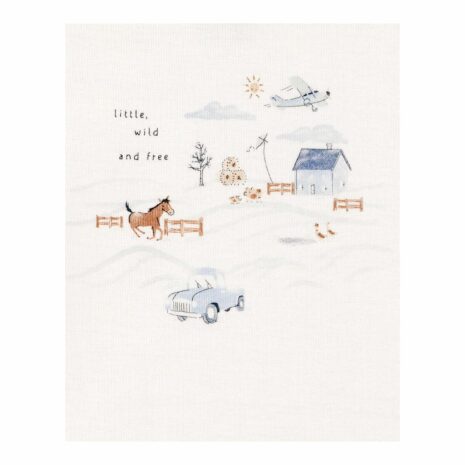 Carter's 3-tlg. Set Body kurzarm