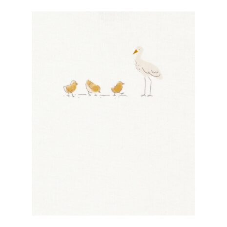 Carter's 3-tlg. Set Body kurzarm