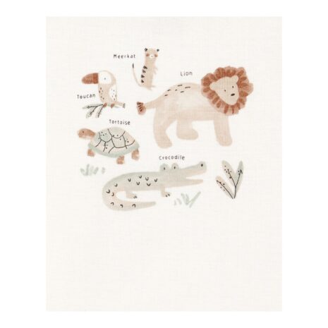 Carter's 3-tlg. Set Bodys kurzarm