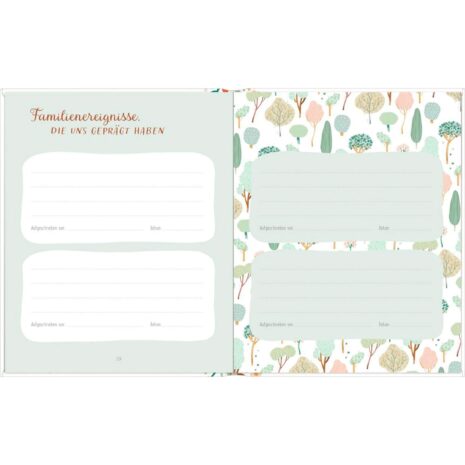 Coppenrath Die Spiegelburg Unsere großen Momente