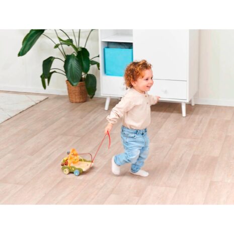 Eichhorn Nachziehwagen