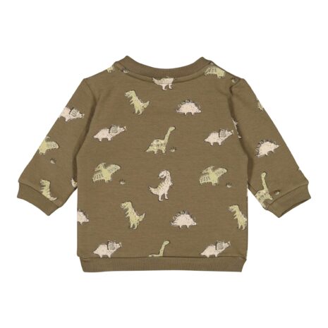 Feetje Sweatshirt Dinos