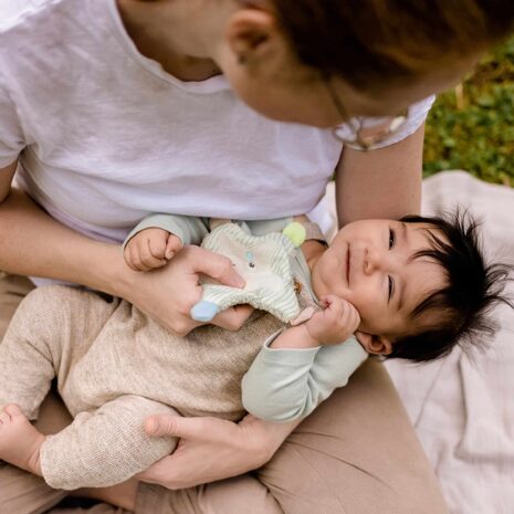 Fehn Greifling Knister-Seestern Meereskinder