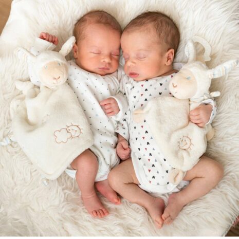 Fehn Schmusetuch Schaf Baby Love