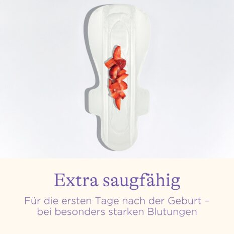 Lansinoh Wochenbetteinlagen 0-2 Wochen Lansinoh Wochenbetteinlagen 0-2 Wochen