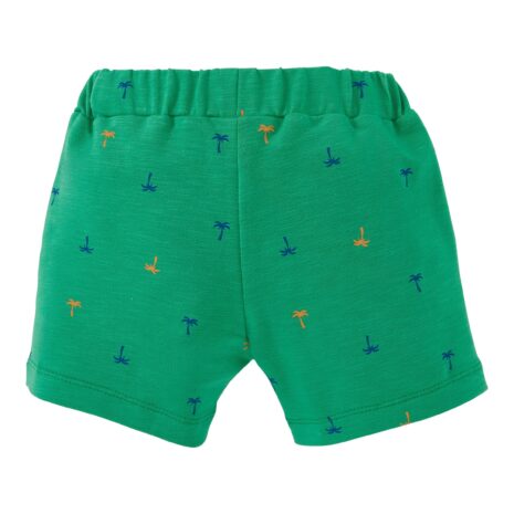 Lilletots Captain Boys Shorts Palmen