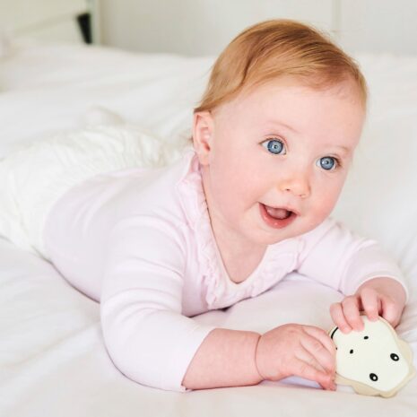 Matchstick Monkey Set Zahnungshilfen Matchstick Monkey Set Zahnungshilfen