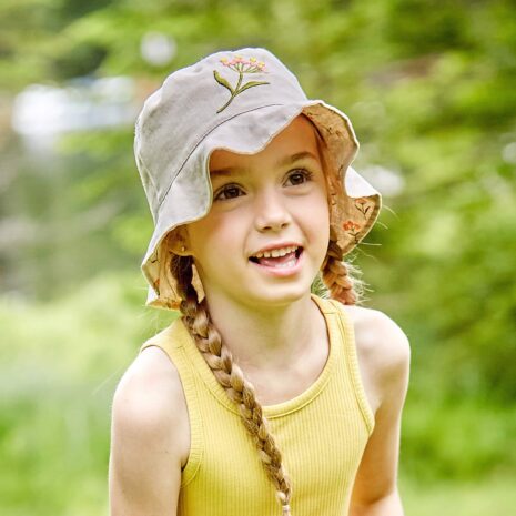 Maximo Sonnenhut Blumen