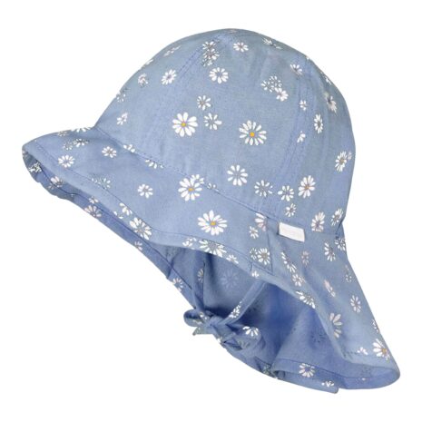 Maximo Sonnenhut Gänseblümchen