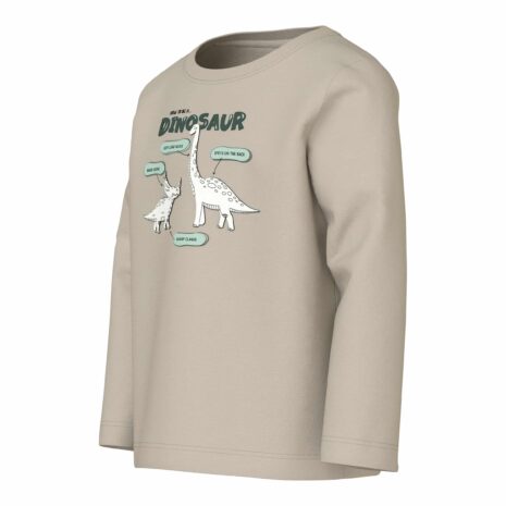 Name It Shirt langarm Dinos