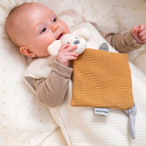 Nattou Schmusetuch Hund Charlie Nattou Schmusetuch Hund Charlie