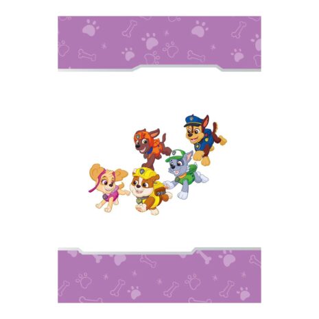 Nelson Paw Patrol Vorlesebuch Heldenhafte Geschichten für jeden Tag