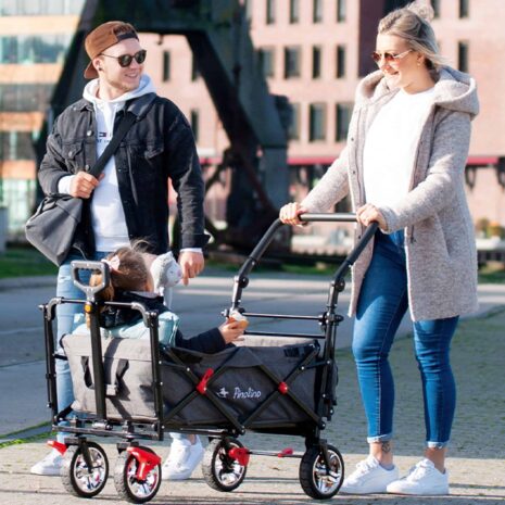 Pinolino Klappbollerwagen AddPlus mit Bremse Pinolino Klappbollerwagen AddPlus mit Bremse