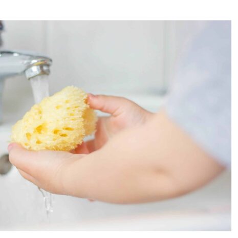 Rotho Babydesign Badeschwamm
