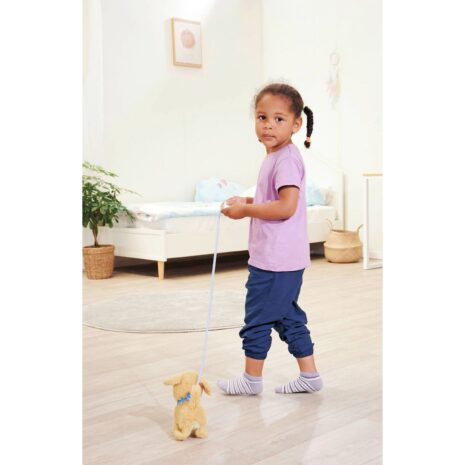 Simba Chichi Love Loomy - Golden Retriever Simba Chichi Love Loomy - Golden Retriever