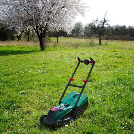 Theo Klein Bosch Garten Rotak Rasenmäher mit Licht & Sound