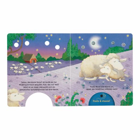 Thienemann-Esslinger Mein Puste-Licht-Buch - Ein Sternlein wacht in dunkler Nacht