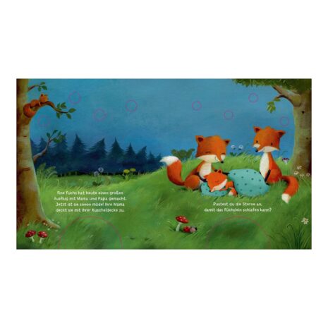 Thienemann-Esslinger Mein Puste-Licht-Buch - Wenn im Dunkeln Sterne funkeln