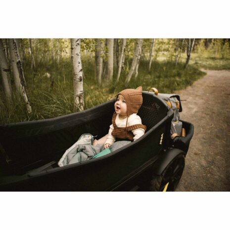 Veer Bollerwagen Cruiser